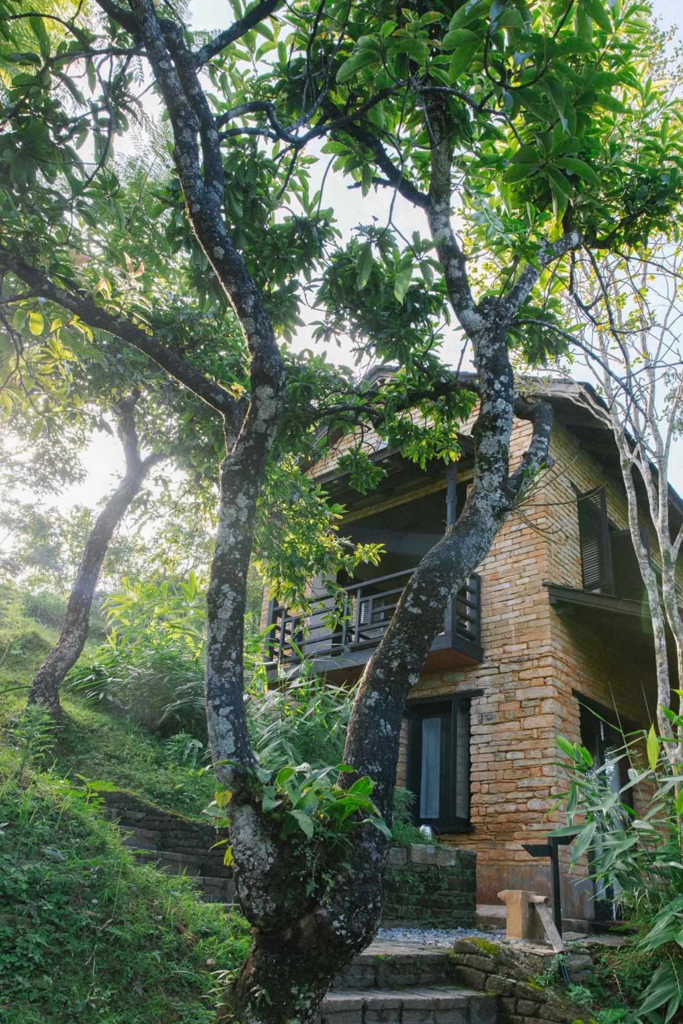 Tiger Mountain Pokhara Lodge Esterno foto